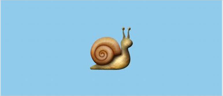 Snail emoji meaning